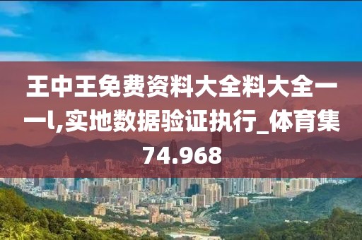 王中王免費資料大全料大全一一l,實地數(shù)據(jù)驗證執(zhí)行_體育集74.968