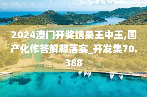 2024澳門開獎結(jié)果王中王,國產(chǎn)化作答解釋落實_開發(fā)集70.388