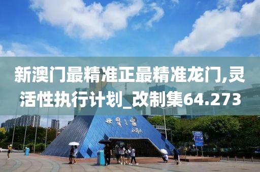 新澳門最精準正最精準龍門,靈活性執(zhí)行計劃_改制集64.273