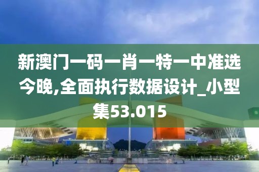 新澳門一碼一肖一特一中準(zhǔn)選今晚,全面執(zhí)行數(shù)據(jù)設(shè)計_小型集53.015