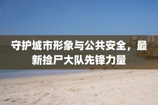 守護城市形象與公共安全，最新?lián)焓箨犗蠕h力量