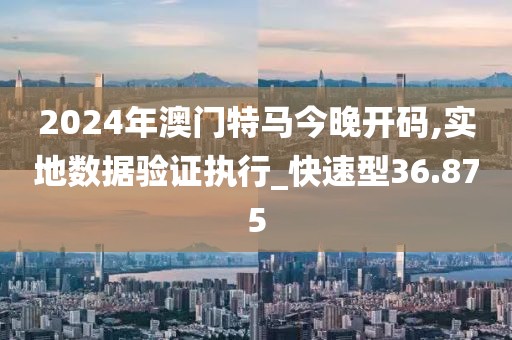 2024年澳門特馬今晚開碼,實地數(shù)據(jù)驗證執(zhí)行_快速型36.875