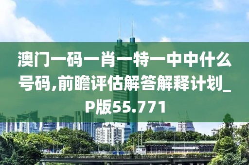 澳門一碼一肖一特一中中什么號(hào)碼,前瞻評(píng)估解答解釋計(jì)劃_P版55.771