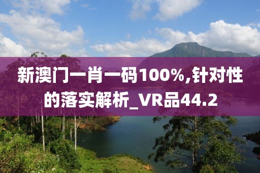 新澳門一肖一碼100%,針對(duì)性的落實(shí)解析_VR品44.2