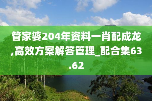 管家婆204年資料一肖配成龍,高效方案解答管理_配合集63.62