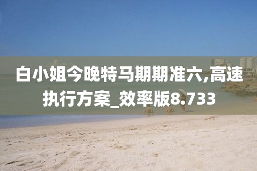 白小姐今晚特馬期期準六,高速執(zhí)行方案_效率版8.733