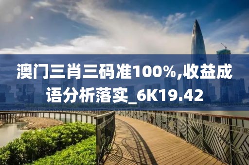 澳門(mén)三肖三碼準(zhǔn)100%,收益成語(yǔ)分析落實(shí)_6K19.42