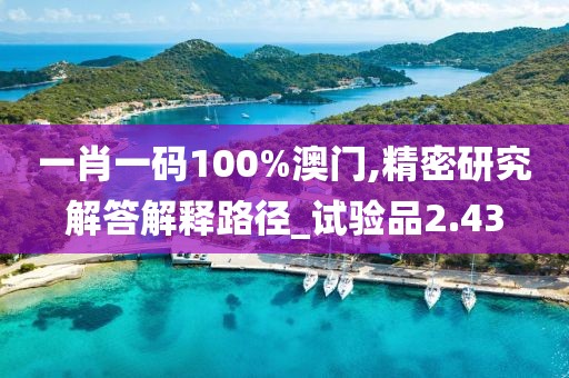 一肖一碼100%澳門(mén),精密研究解答解釋路徑_試驗(yàn)品2.43