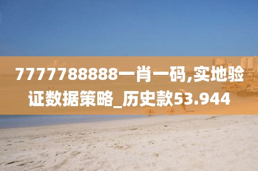 7777788888一肖一碼,實(shí)地驗證數(shù)據(jù)策略_歷史款53.944