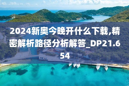 2024新奧今晚開什么下載,精密解析路徑分析解答_DP21.654