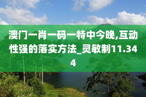 澳門一肖一碼一特中今晚,互動性強的落實方法_靈敏制11.344