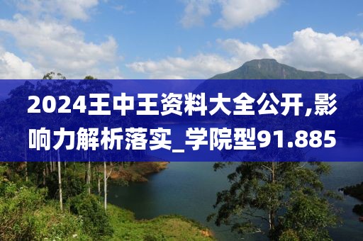 2024王中王資料大全公開,影響力解析落實(shí)_學(xué)院型91.885