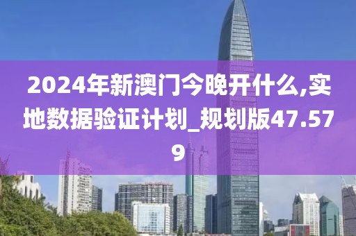 2024年新澳門今晚開什么,實地數(shù)據(jù)驗證計劃_規(guī)劃版47.579