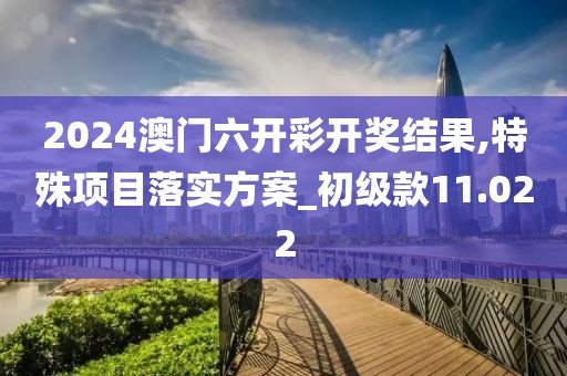 2024澳門六開彩開獎結(jié)果,特殊項目落實方案_初級款11.022