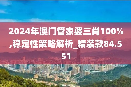 2024年澳門管家婆三肖100%,穩(wěn)定性策略解析_精裝款84.551