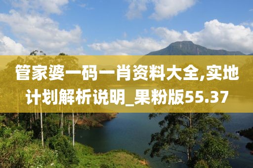 管家婆一碼一肖資料大全,實地計劃解析說明_果粉版55.37