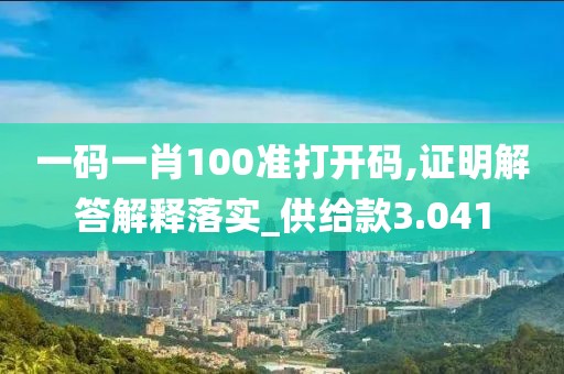 一碼一肖100準打開碼,證明解答解釋落實_供給款3.041