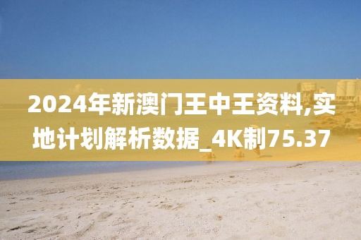 2024年新澳門王中王資料,實地計劃解析數(shù)據(jù)_4K制75.37