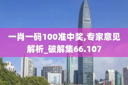 一肖一碼100準(zhǔn)中獎,專家意見解析_破解集66.107