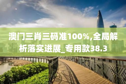 澳門三肖三碼準(zhǔn)100%,全局解析落實(shí)進(jìn)展_專用款38.3