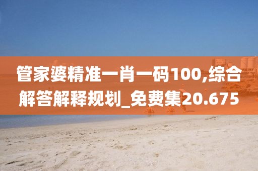 管家婆精準一肖一碼100,綜合解答解釋規(guī)劃_免費集20.675