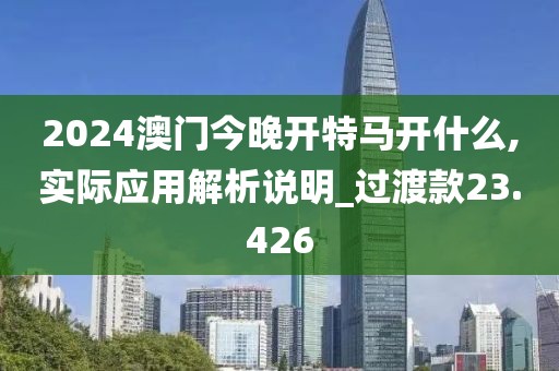 2024澳門今晚開特馬開什么,實際應(yīng)用解析說明_過渡款23.426