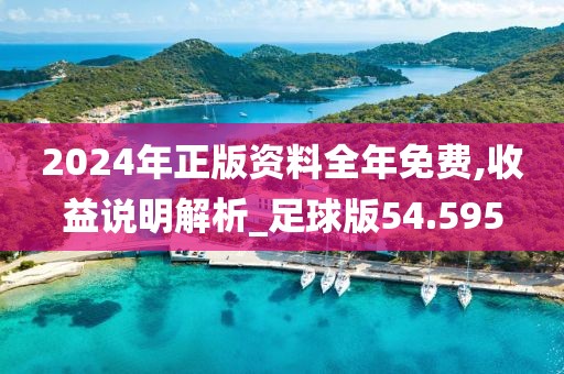 2024年正版資料全年免費,收益說明解析_足球版54.595