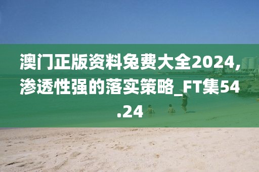 澳門正版資料兔費(fèi)大全2024,滲透性強(qiáng)的落實(shí)策略_FT集54.24