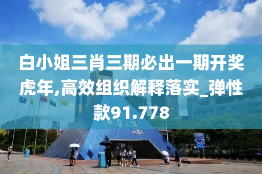 白小姐三肖三期必出一期開獎虎年,高效組織解釋落實(shí)_彈性款91.778