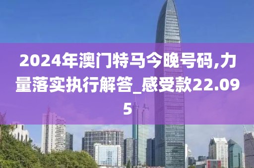 2024年澳門特馬今晚號(hào)碼,力量落實(shí)執(zhí)行解答_感受款22.095