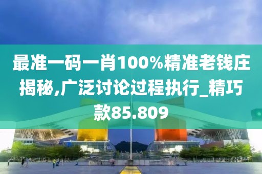 最準(zhǔn)一碼一肖100%精準(zhǔn)老錢莊揭秘,廣泛討論過(guò)程執(zhí)行_精巧款85.809