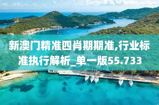 新澳門精準四肖期期準,行業(yè)標準執(zhí)行解析_單一版55.733