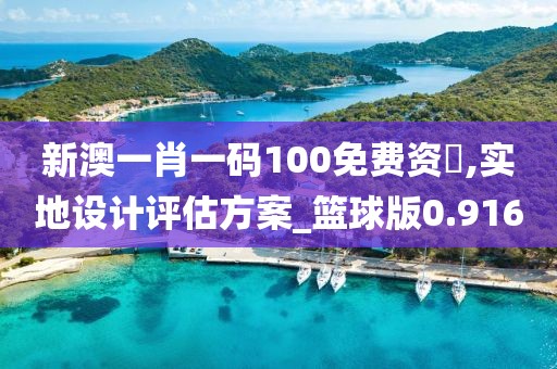 新澳一肖一碼100免費(fèi)資枓,實(shí)地設(shè)計(jì)評估方案_籃球版0.916