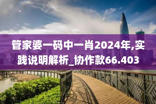 管家婆一碼中一肖2024年,實踐說明解析_協(xié)作款66.403