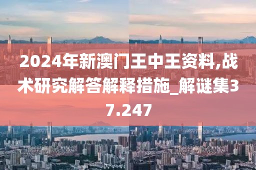 2024年新澳門王中王資料,戰(zhàn)術(shù)研究解答解釋措施_解謎集37.247