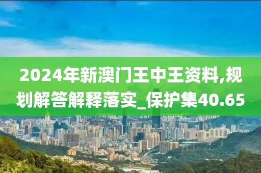 2024年新澳門王中王資料,規(guī)劃解答解釋落實_保護集40.65