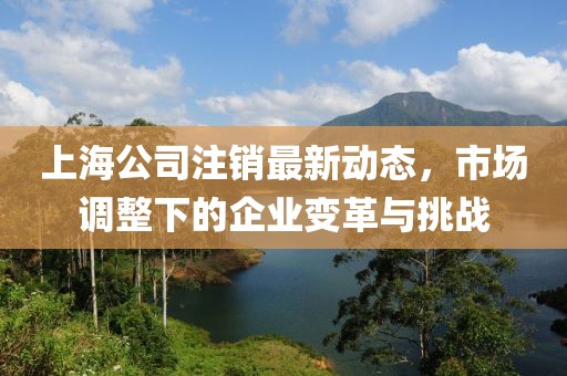 上海公司注銷最新動態(tài)，市場調(diào)整下的企業(yè)變革與挑戰(zhàn)