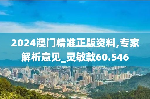 2024澳門精準正版資料,專家解析意見_靈敏款60.546