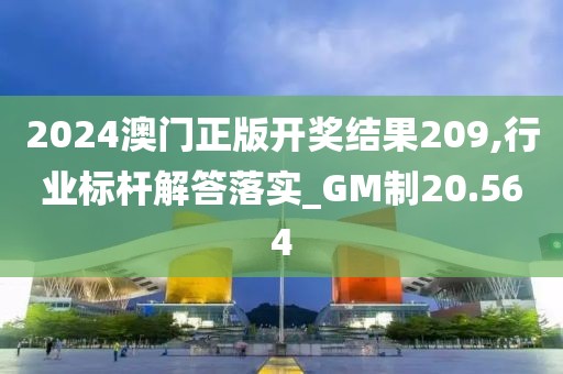 2024澳門正版開獎結果209,行業(yè)標桿解答落實_GM制20.564