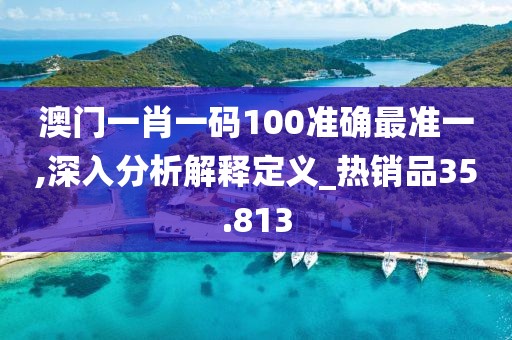 澳門一肖一碼100準(zhǔn)確最準(zhǔn)一,深入分析解釋定義_熱銷品35.813