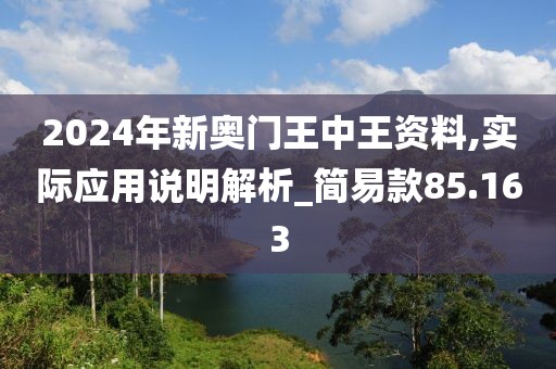 2024年新奧門王中王資料,實際應用說明解析_簡易款85.163