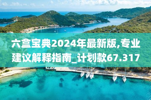 六盒寶典2024年最新版,專業(yè)建議解釋指南_計(jì)劃款67.317