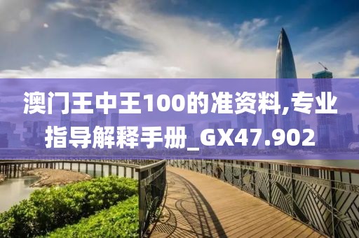 澳門王中王100的準資料,專業(yè)指導解釋手冊_GX47.902