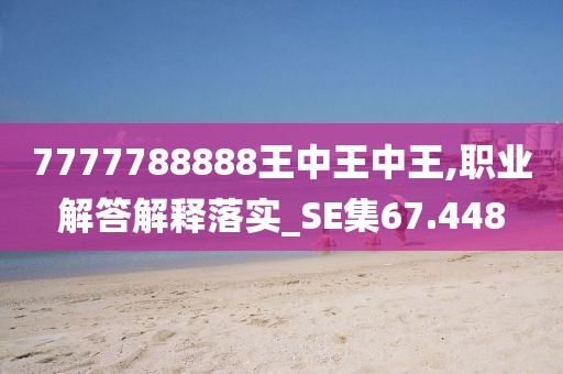 7777788888王中王中王,職業(yè)解答解釋落實_SE集67.448