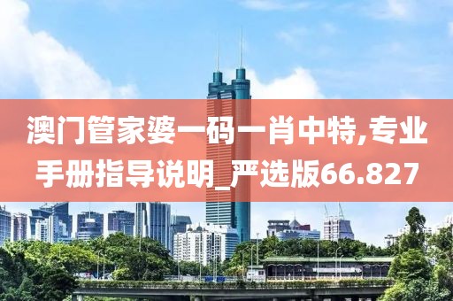 澳門管家婆一碼一肖中特,專業(yè)手冊指導(dǎo)說明_嚴(yán)選版66.827