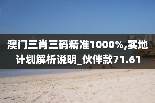 澳門三肖三碼精準(zhǔn)1000%,實(shí)地計(jì)劃解析說明_伙伴款71.61