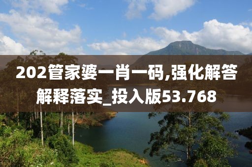 202管家婆一肖一碼,強化解答解釋落實_投入版53.768