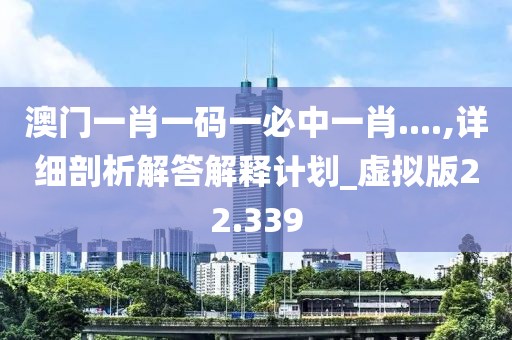 澳門一肖一碼一必中一肖....,詳細剖析解答解釋計劃_虛擬版22.339