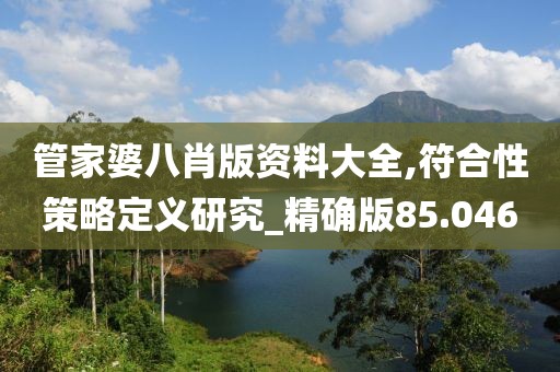 管家婆八肖版資料大全,符合性策略定義研究_精確版85.046