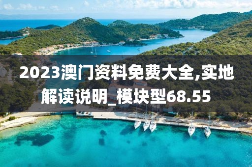 2023澳門資料免費大全,實地解讀說明_模塊型68.55